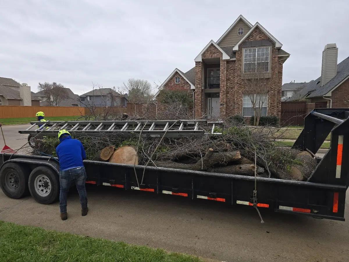 Expert Lot Clearing with proper safety equipment in West Dennis